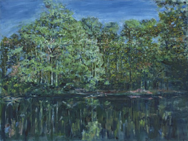 River Park, Woodland Images II, Oil on Canvas, 18x24