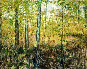 Woodland Encounter, Oil on Canvas, 24x30