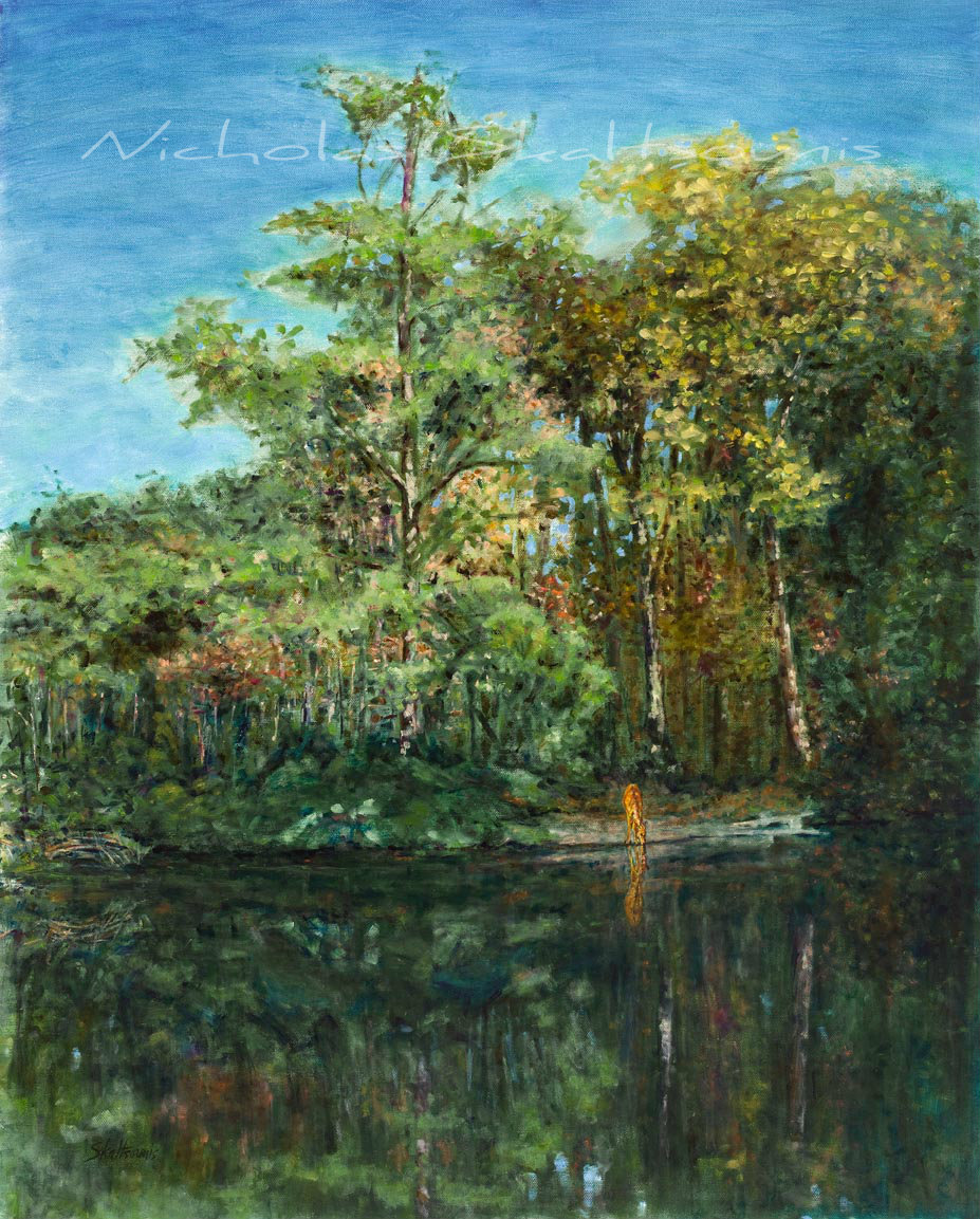 Drinking Deer, Woodland Images&nbsp;IV